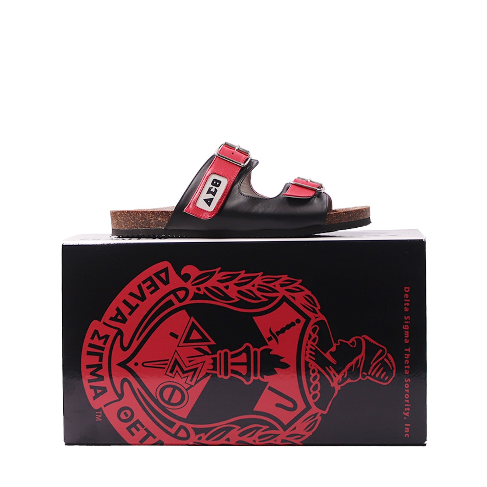 Delta Sigma Theta Double Strap Greek Letter Sandals