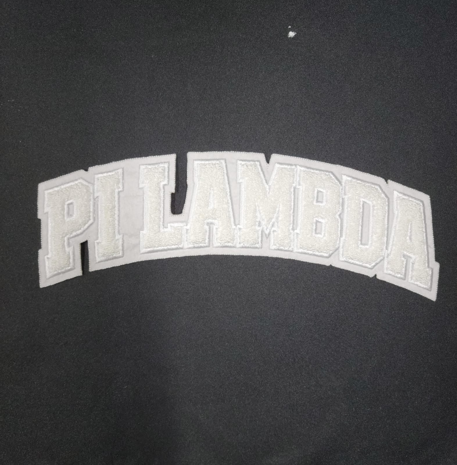 Pi Lambda EST 1986 Embroidered Sweatshirts Version A