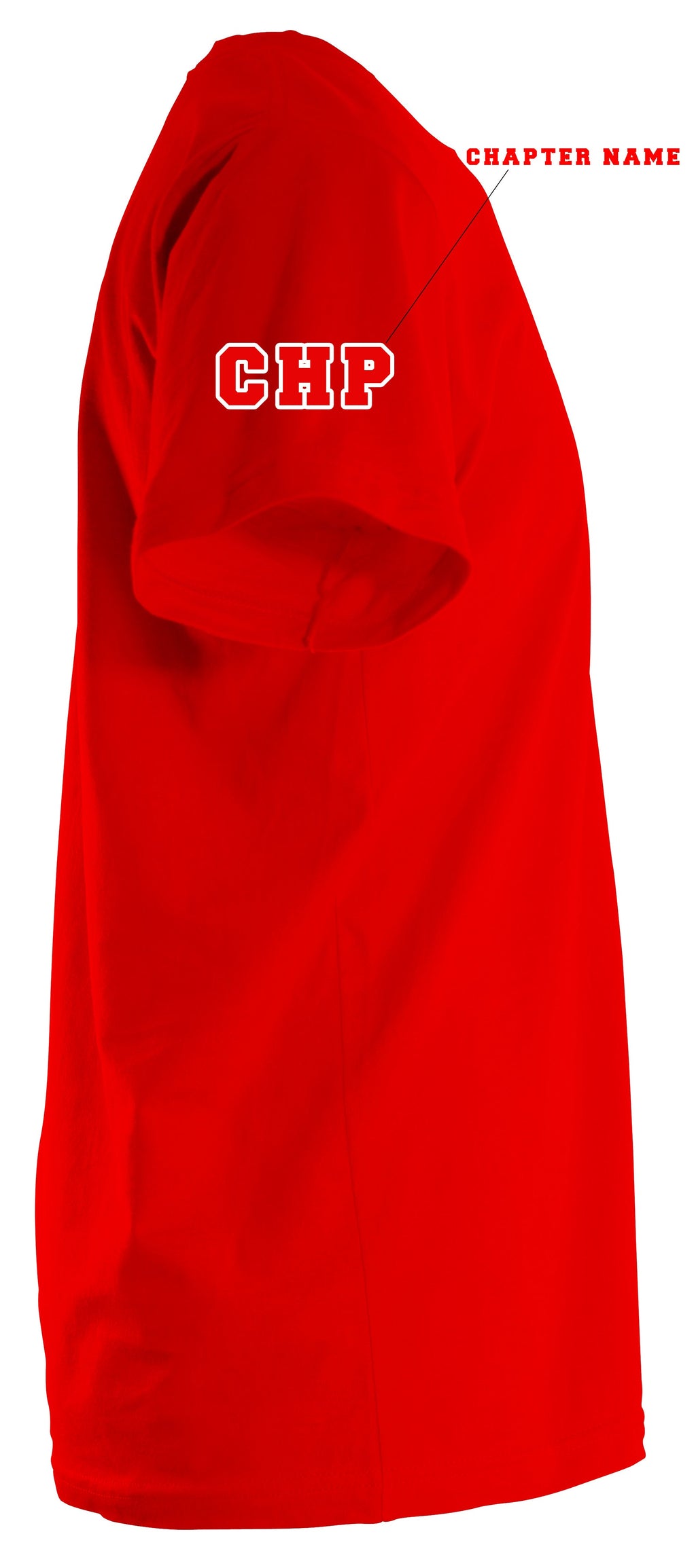 Delta Sigma Theta Fortitude T-Shirt