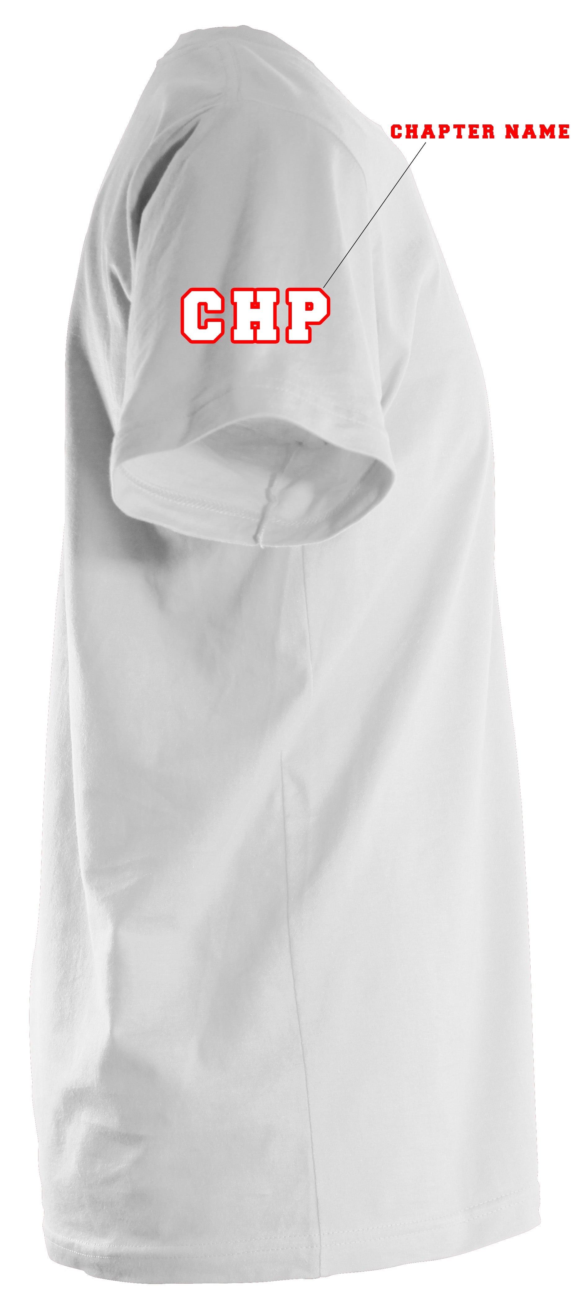 Delta Sigma Theta Fortitude T-Shirt