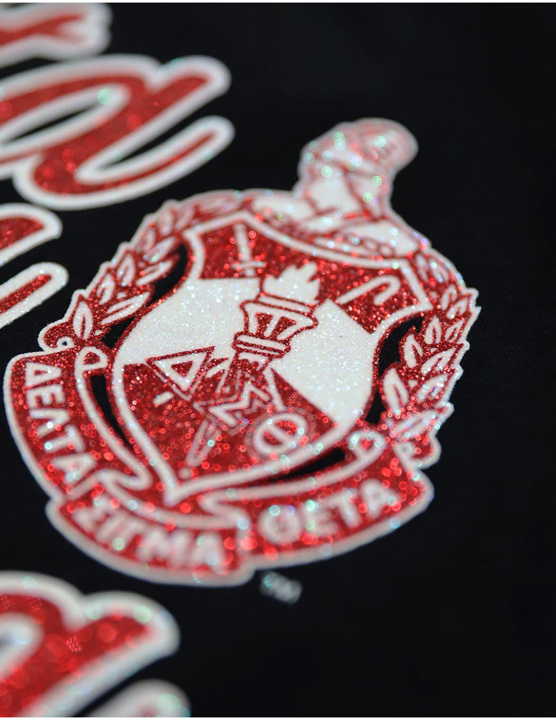 Delta Sigma Theta Long Sleeve Shield T-Shirt