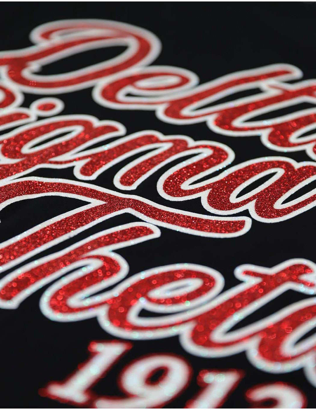 Delta Sigma Theta Long Sleeve Shield T-Shirt