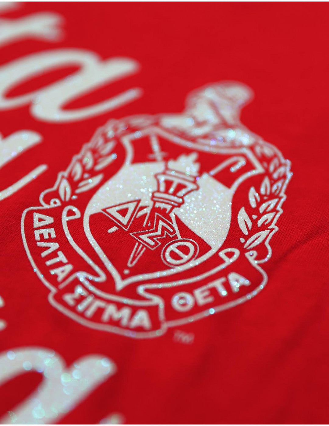 Delta Sigma Theta Long Sleeve Shield T-Shirt