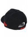 DELTA SIGMA THETA SHIELD CAP