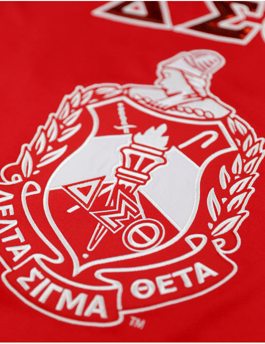 Delta Sigma Theta Football Jersey (Red)