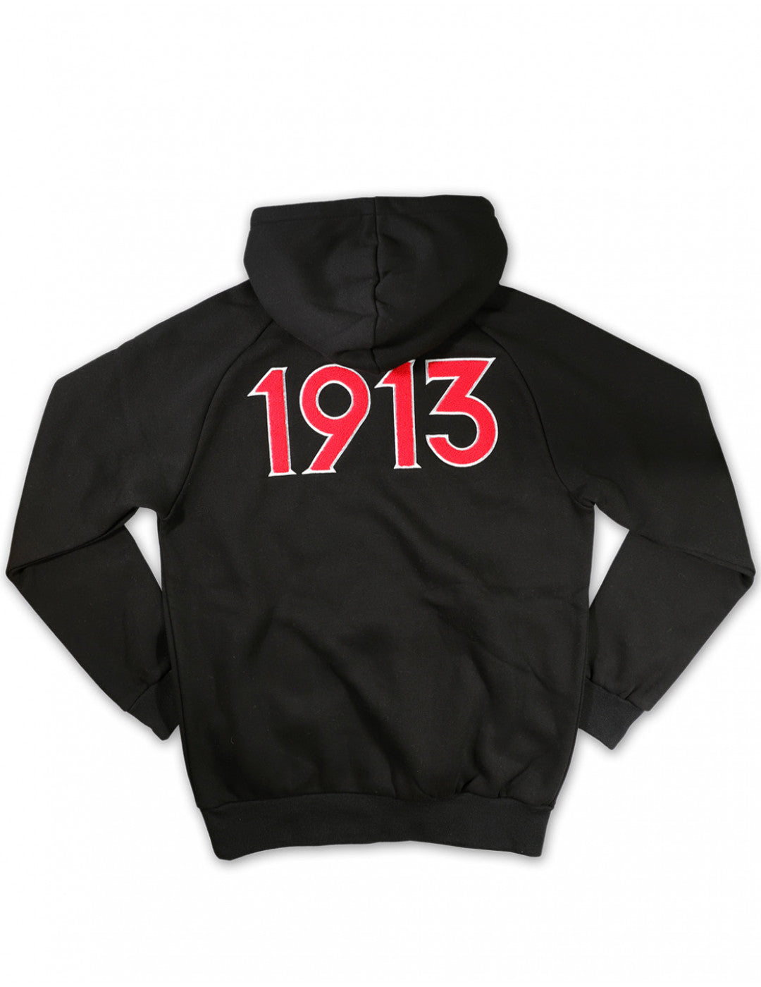 Delta Sigma Theta Pullover Hoodie