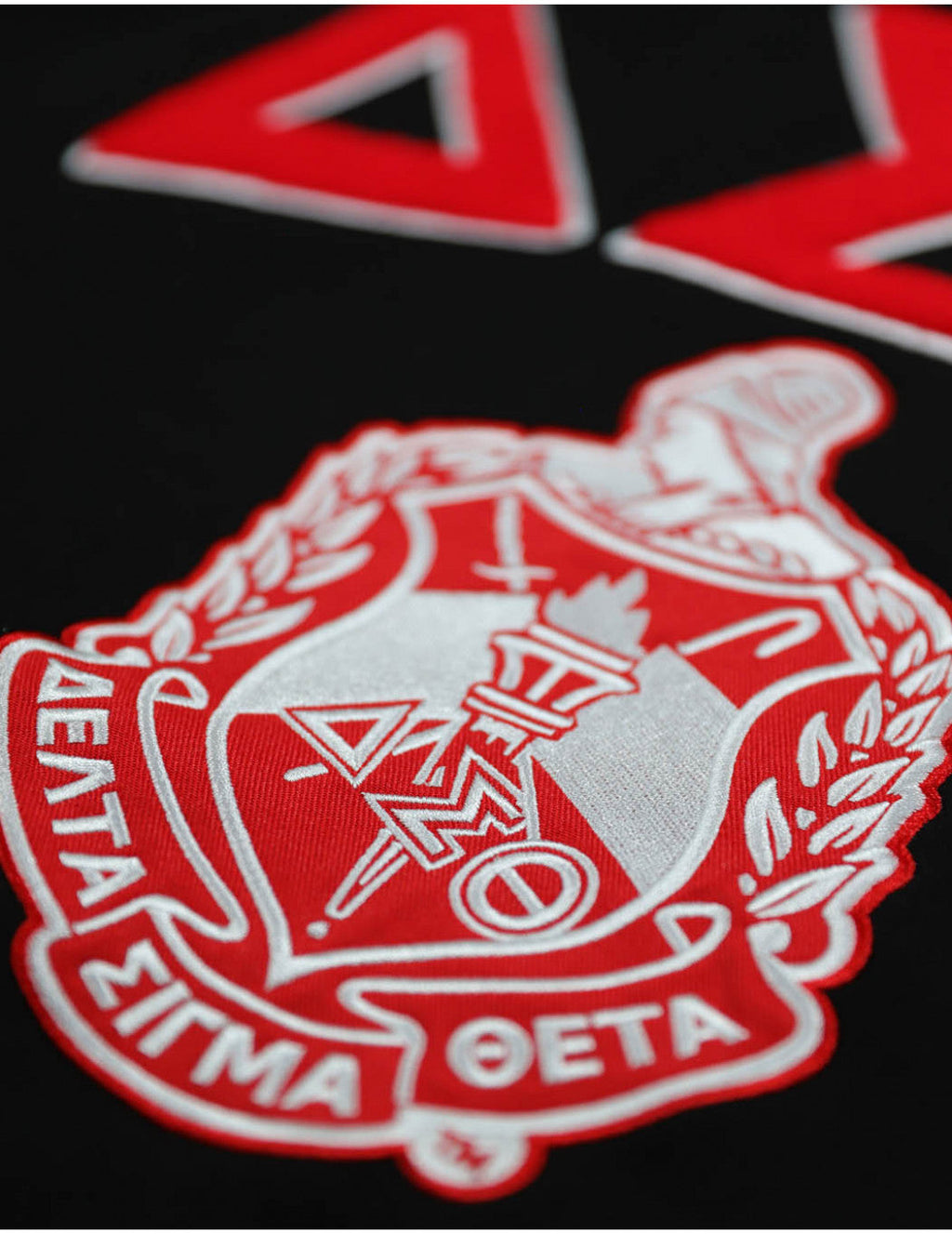 Delta Sigma Theta Pullover Hoodie