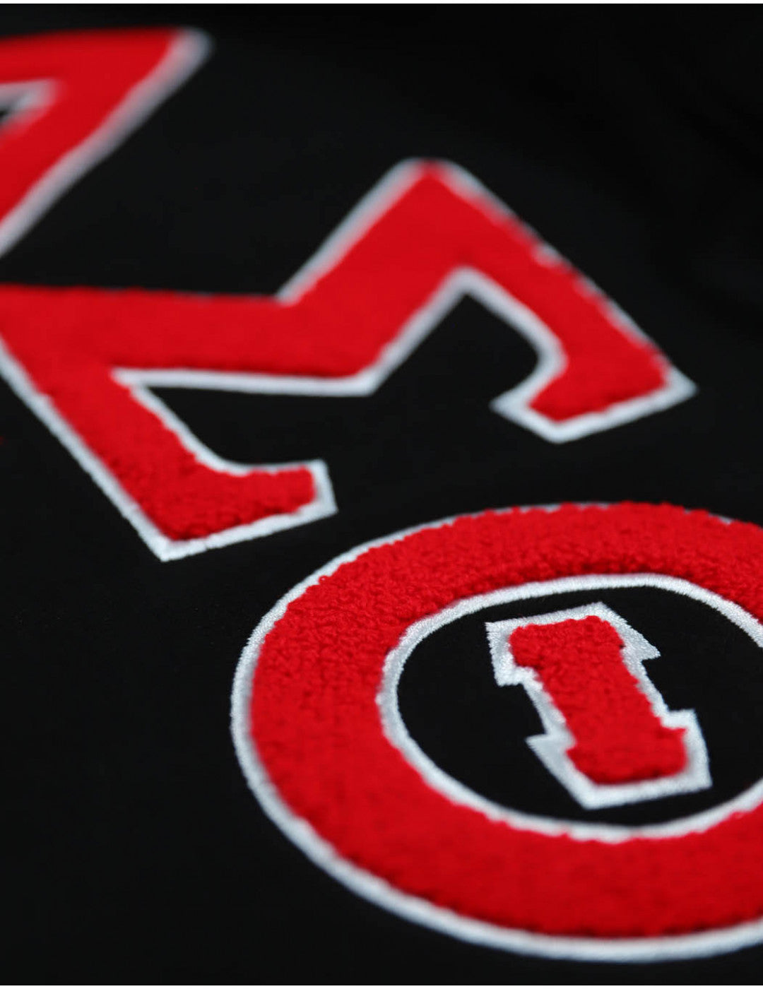 Delta Sigma Theta Pullover Hoodie