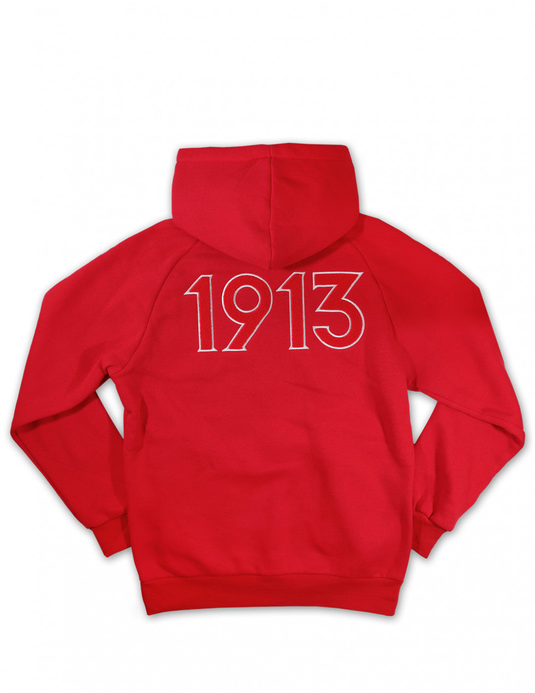 Delta Sigma Theta Pullover Hoodie