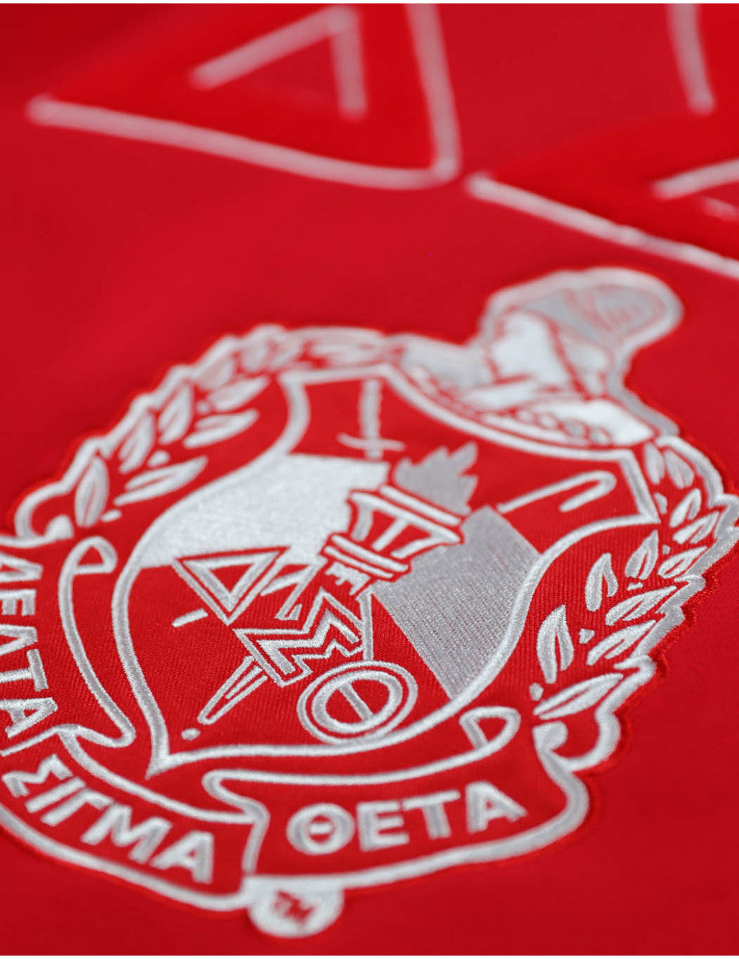 Delta Sigma Theta Pullover Hoodie