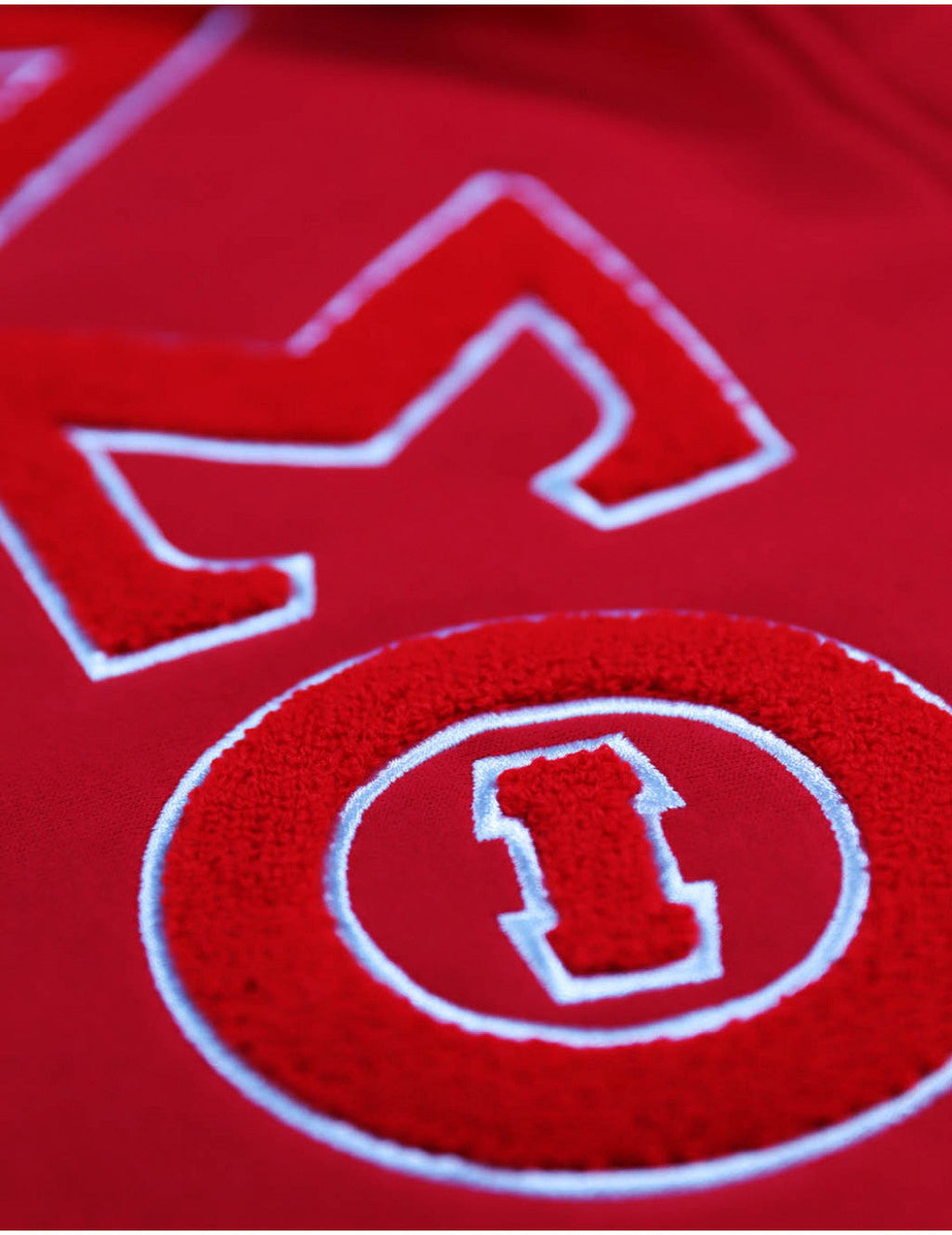 Delta Sigma Theta Pullover Hoodie
