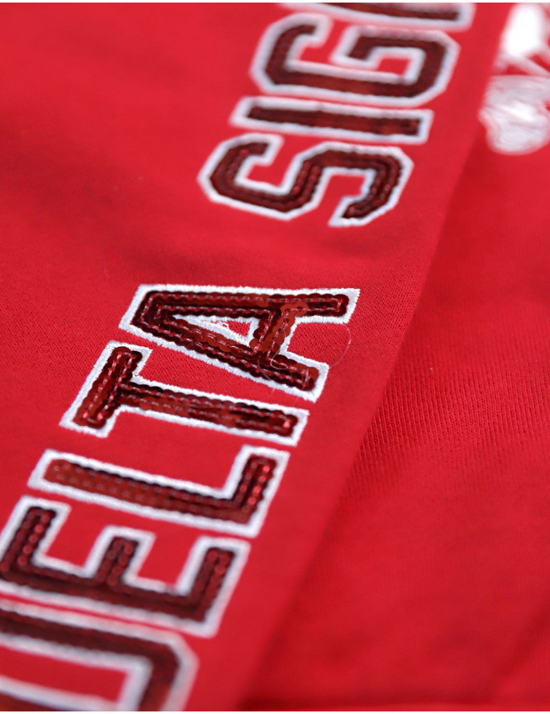 Delta Sigma Theta Sequins Patch Sweatpants