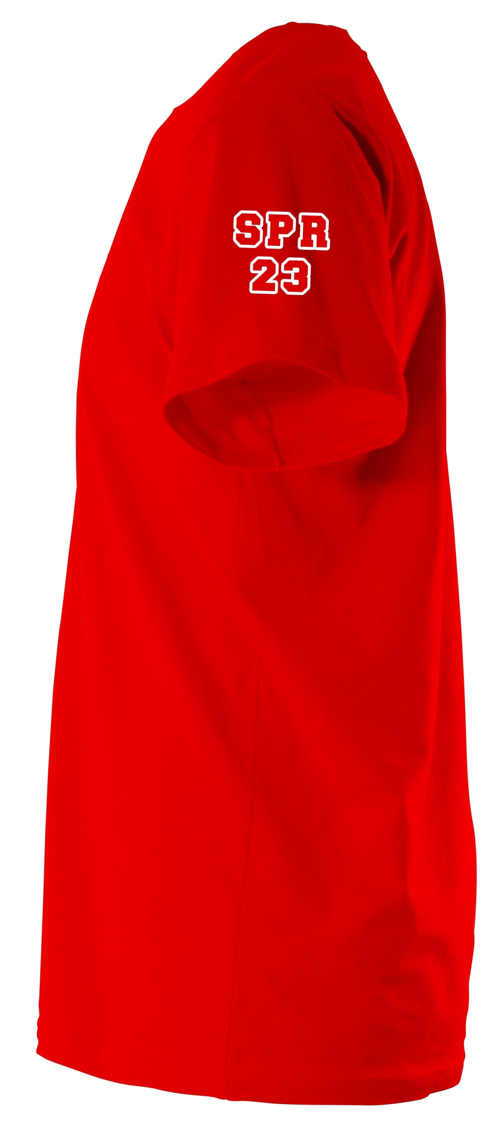 Delta Sigma Theta Fortitude T-Shirt
