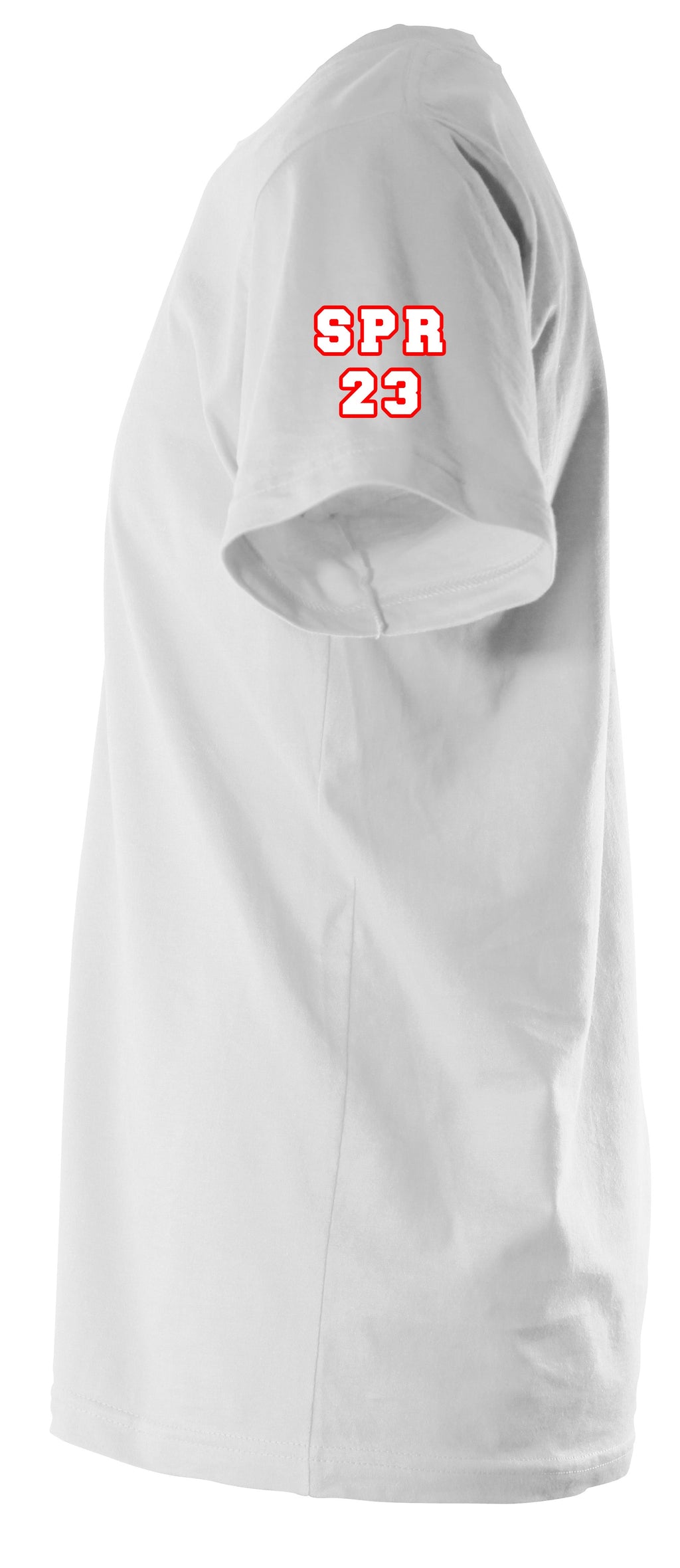 Delta Sigma Theta Fortitude T-Shirt
