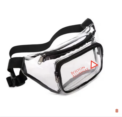 BAC PVC Clear Fanny Pack w/ Zipper Pockets Transparent Bag