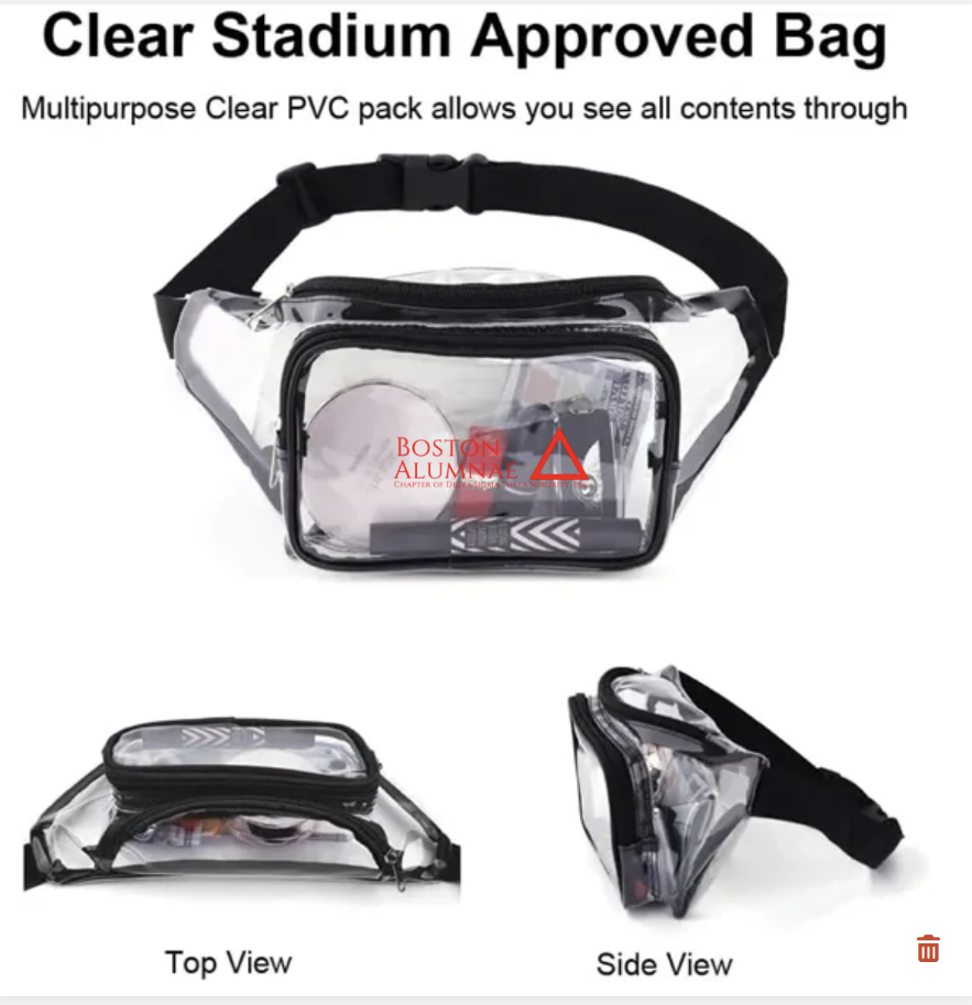 BAC PVC Clear Fanny Pack w/ Zipper Pockets Transparent Bag