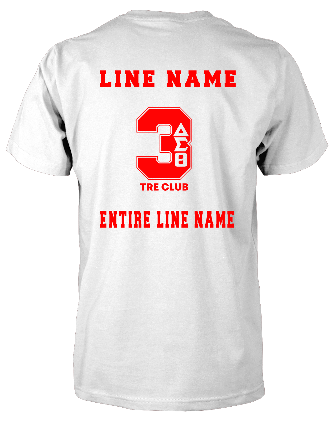 Delta Sigma Theta Fortitude T-Shirt